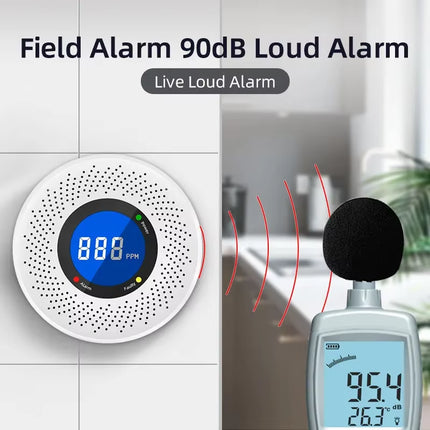 Carbon Monoxide Detector with Screen Display – Battery Powered