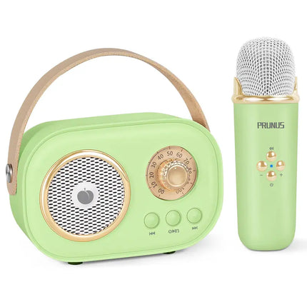 PRUNUS C20 Mini Karaoke Machine Portable Bluetooth Speaker with Wireless Microphone 6 Sound Modes for Adults&Kids Birthday Home Farmily Friends Party Gifts for Girls Boys Friends