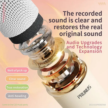 PRUNUS C20 Mini Karaoke Machine Portable Bluetooth Speaker with Wireless Microphone 6 Sound Modes for Adults&Kids Birthday Home Farmily Friends Party Gifts for Girls Boys Friends