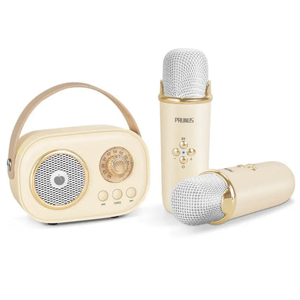 PRUNUS C20 Mini Karaoke Machine Portable Bluetooth Speaker with Wireless Microphone 6 Sound Modes for Adults&Kids Birthday Home Farmily Friends Party Gifts for Girls Boys Friends