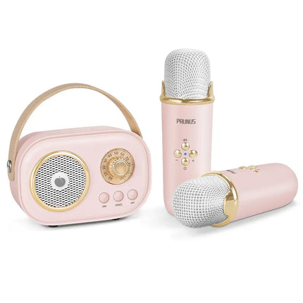 PRUNUS C20 Mini Karaoke Machine Portable Bluetooth Speaker with Wireless Microphone 6 Sound Modes for Adults&Kids Birthday Home Farmily Friends Party Gifts for Girls Boys Friends