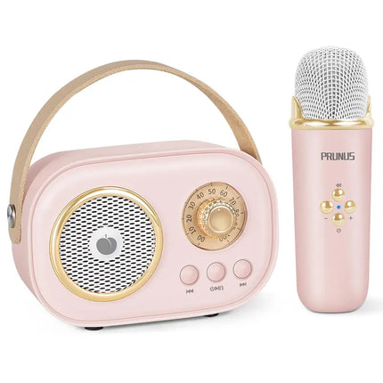 PRUNUS C20 Mini Karaoke Machine Portable Bluetooth Speaker with Wireless Microphone 6 Sound Modes for Adults&Kids Birthday Home Farmily Friends Party Gifts for Girls Boys Friends