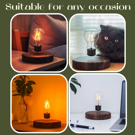 Levitating Bulb Lamp Magnetic Floating Lamp Light Desk Lamp Night Light Table LED for Unique Gifts, Room Decor, Night Light, Home Office Decor Desk Tech Toys (Round-Classic Bulb)