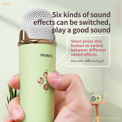 PRUNUS C20 Mini Karaoke Machine Portable Bluetooth Speaker with Wireless Microphone 6 Sound Modes for Adults&Kids Birthday Home Farmily Friends Party Gifts for Girls Boys Friends