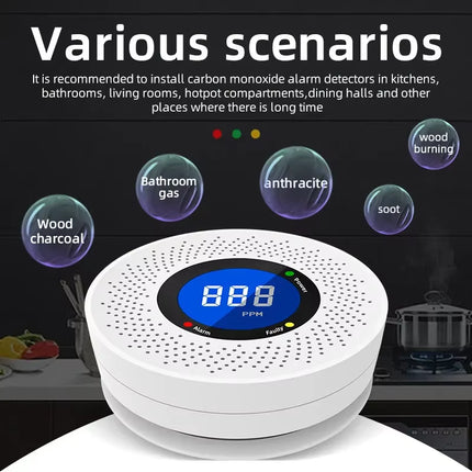 Carbon Monoxide Detector with Screen Display – Battery Powered