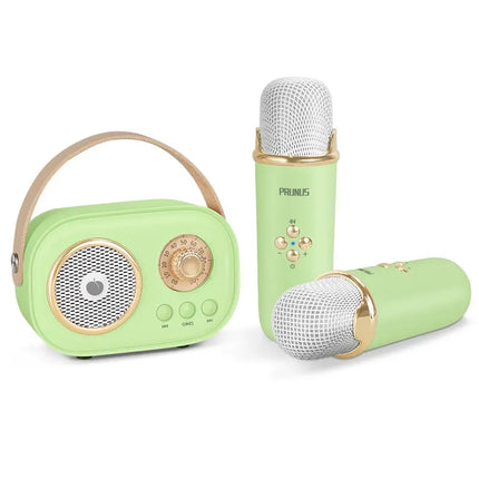 PRUNUS C20 Mini Karaoke Machine Portable Bluetooth Speaker with Wireless Microphone 6 Sound Modes for Adults&Kids Birthday Home Farmily Friends Party Gifts for Girls Boys Friends